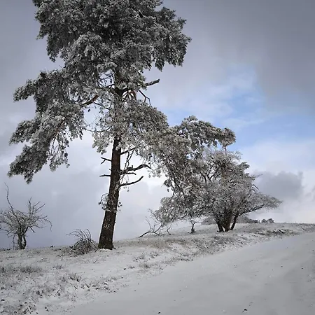 アパート Haus Marianne Langscheid (Mayen-Koblenz)