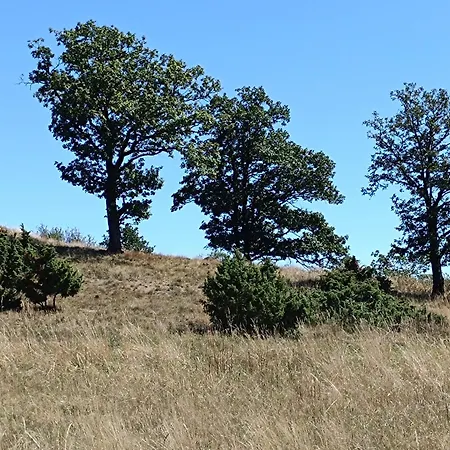 アパート Haus Marianne Langscheid (Mayen-Koblenz)