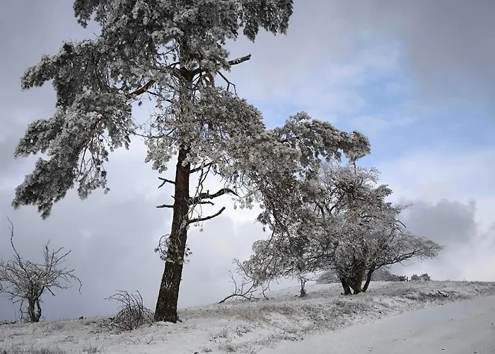 公寓 Haus Marianne Langscheid (Mayen-Koblenz)