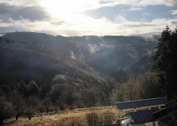 Haus Marianne 公寓 *