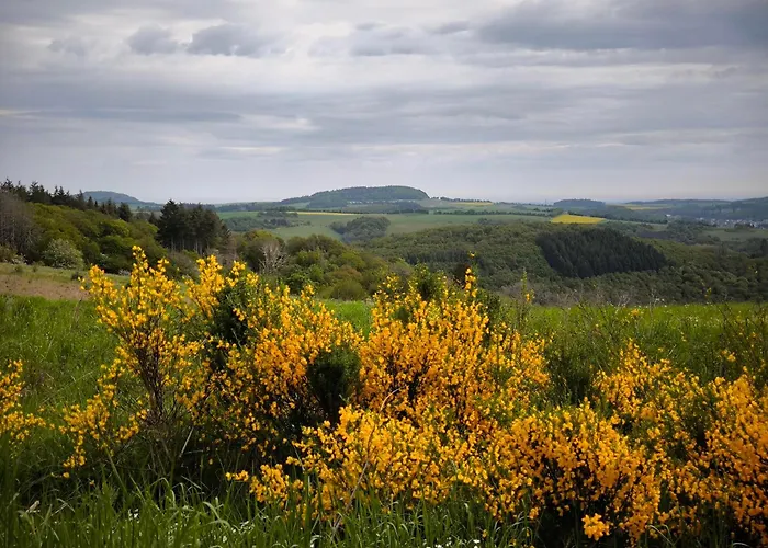 Haus Marianne Langscheid (Mayen-Koblenz)